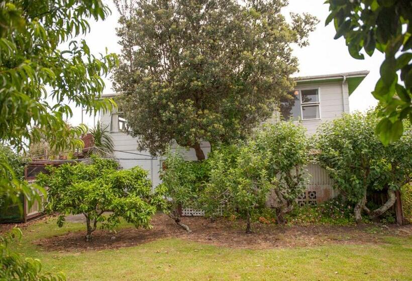 Holiday Haven   Whitianga Bach