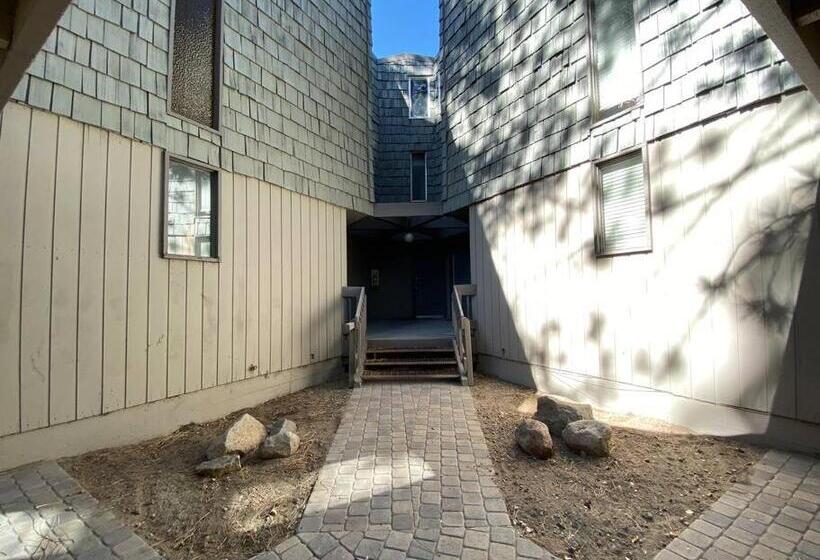 Mammoth Awesome Location 1 Min To Shuttles & Food! Toml Cpan 11402