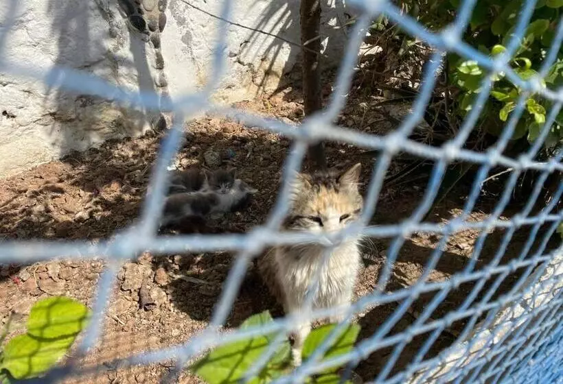 Majatalo Dar Boujdaa