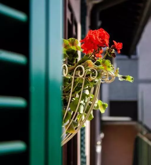 La Ringhiera Tropicale Bilocale Con Parcheggio E Self Check In