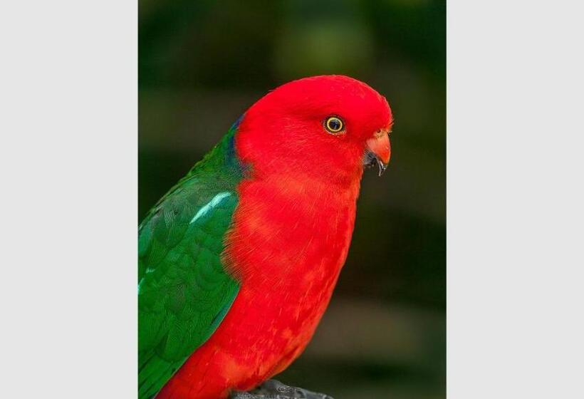 Ocean Magic Where The Bush Greets The Sea