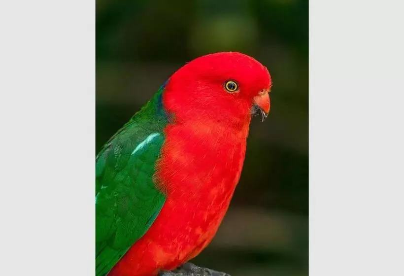 Ocean Magic Where The Bush Greets The Sea