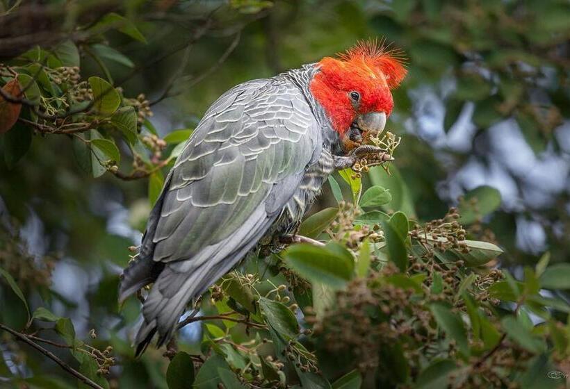Ocean Magic Where The Bush Greets The Sea