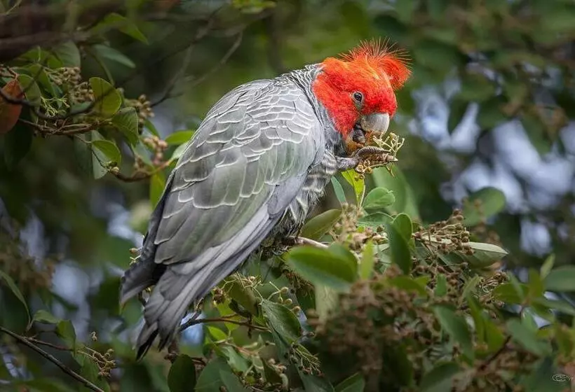 Ocean Magic Where The Bush Greets The Sea