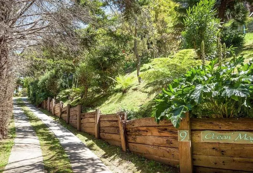 Ocean Magic Where The Bush Greets The Sea