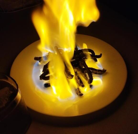 ペンション карпати котедж анастасія