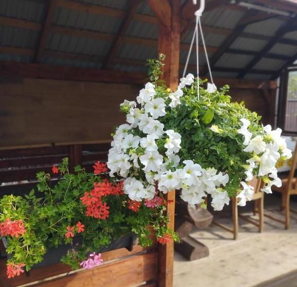 ペンション карпати котедж анастасія