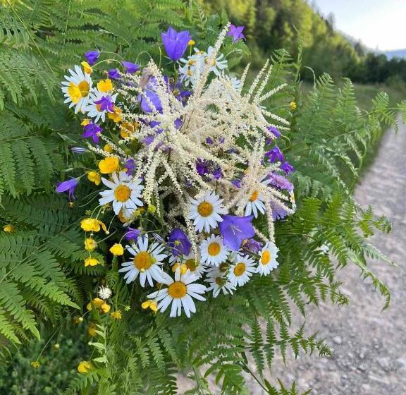 ペンション карпати котедж анастасія
