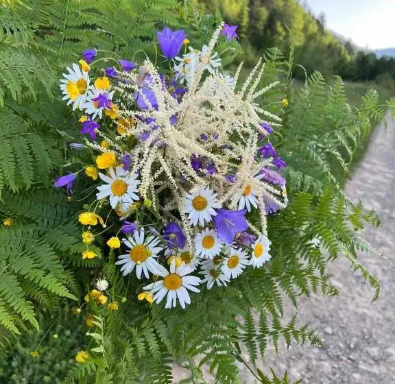 Majatalo карпати котедж анастасія