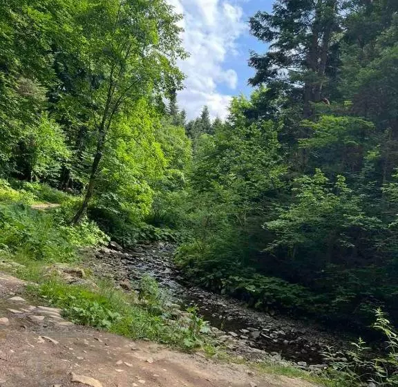 Majatalo карпати котедж анастасія