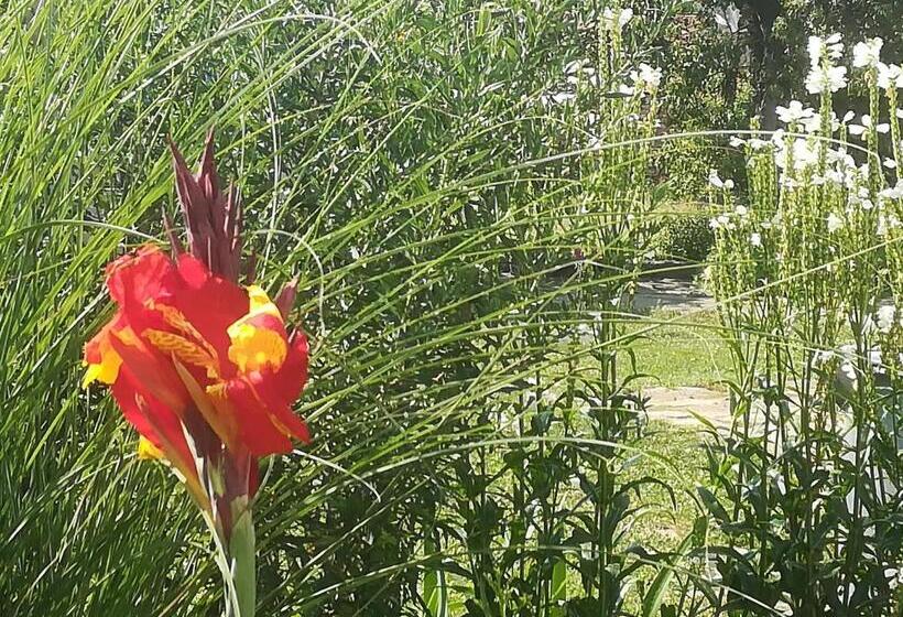 Pension (Hôtel basse catégorie) къща христини