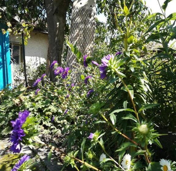 Pension (Hôtel basse catégorie) къща христини