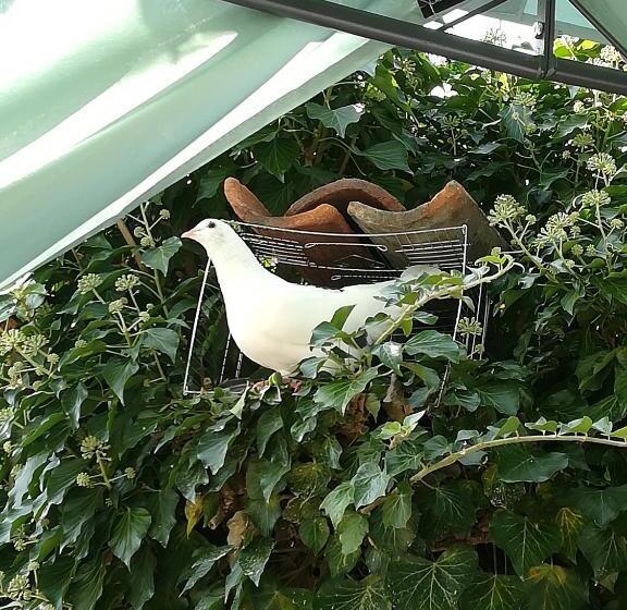 Pension (Hôtel basse catégorie) къща христини