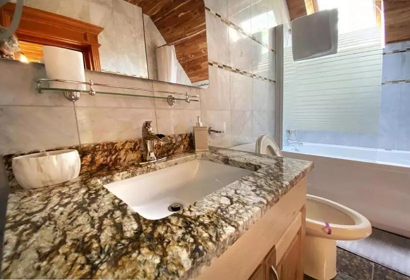 Majatalo Casa Carmen Sinaia