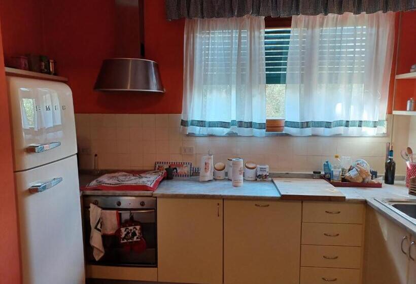 پانسیون Home Sweet Home 1 Affittacamere Lucca