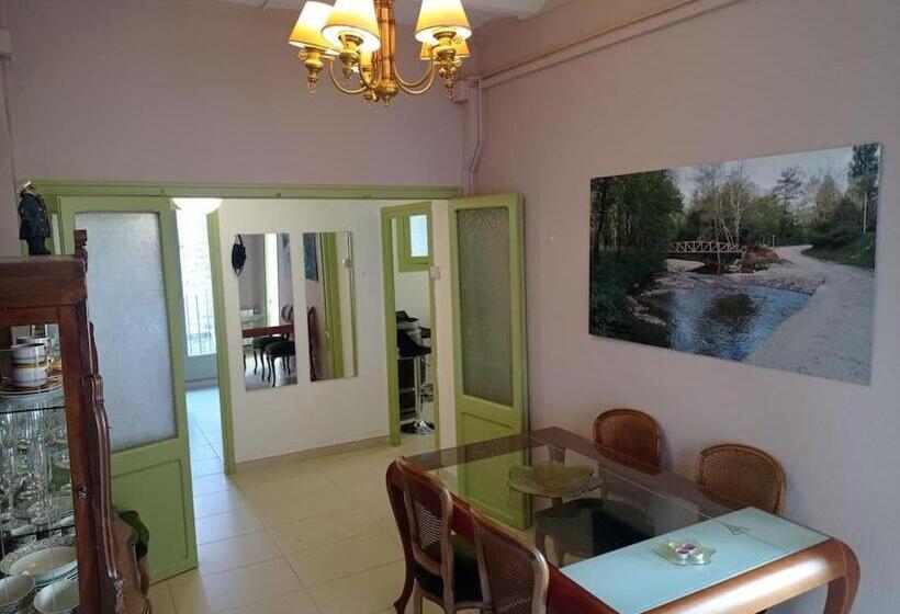 Pis Amb Encant A Campdevànol,al Centre Del Poble