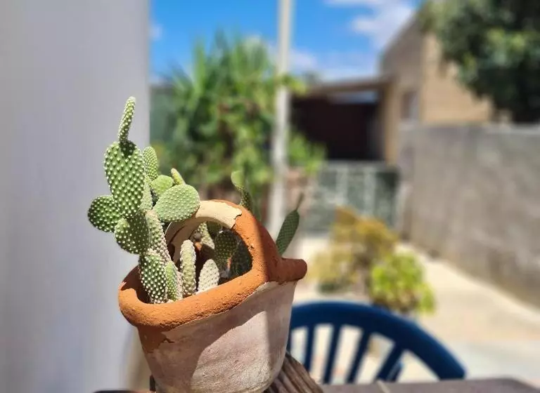 A Un Passo Dal Tramonto