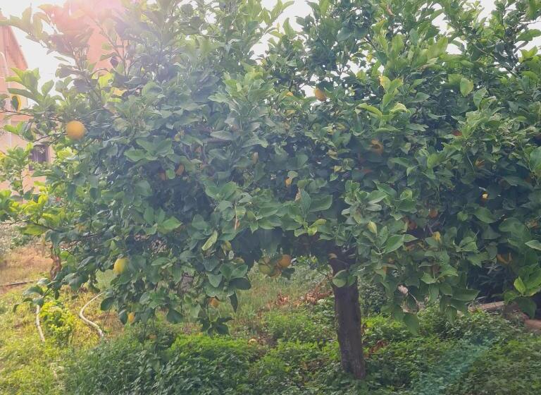 A Un Passo Dal Tramonto