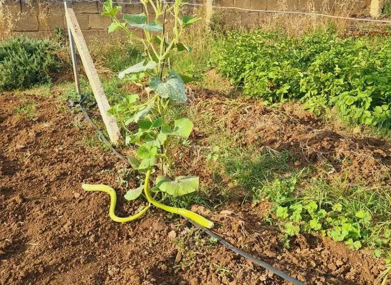 A Un Passo Dal Tramonto