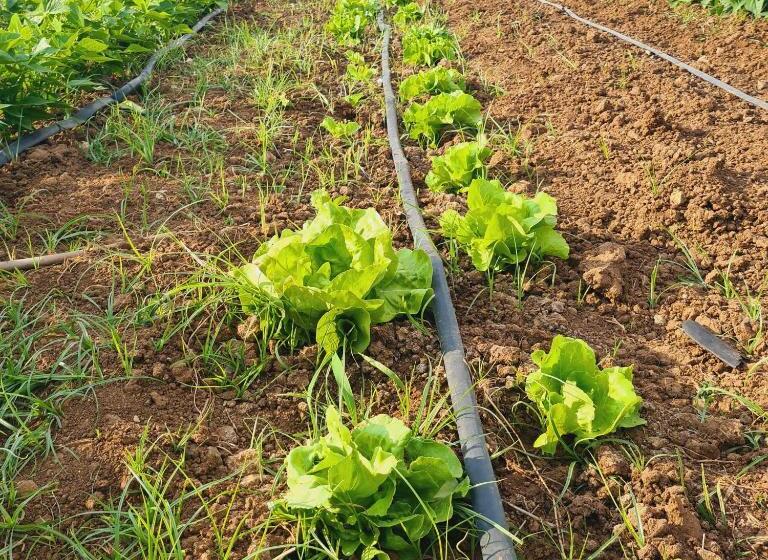 A Un Passo Dal Tramonto