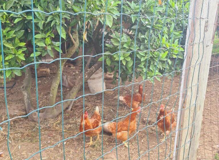 A Un Passo Dal Tramonto