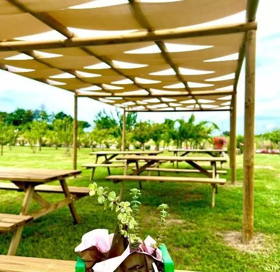 Cento Giorni B&b Costa Paestum