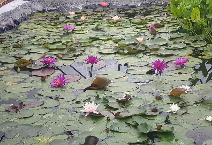 פנסיון дургунската къща Durgunskata Kashta