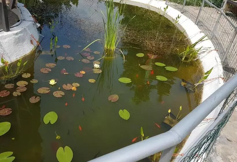 Majatalo дургунската къща  Durgunskata Kashta