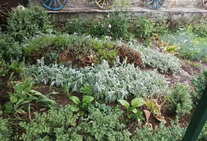 Majatalo дургунската къща  Durgunskata Kashta