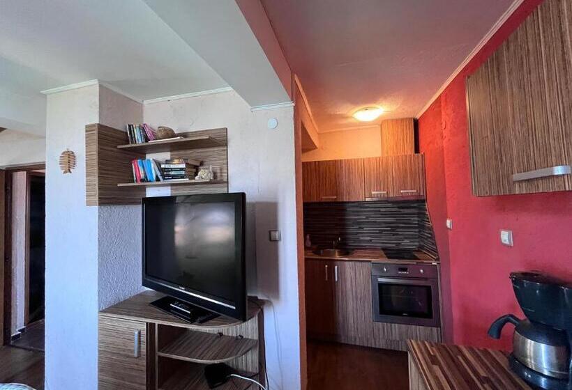 بنسيون Brunette Beauties Guesthouse & Studio Sinemorets