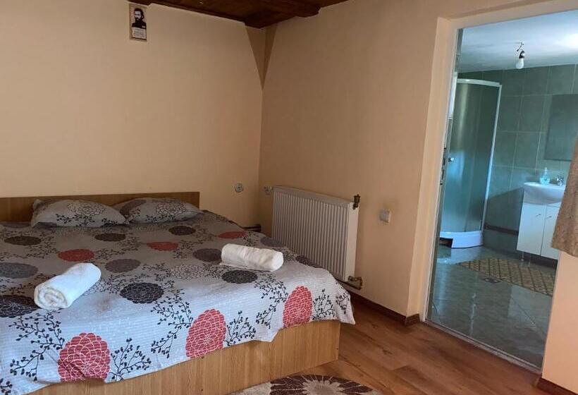 پانسیون Casa Blendea Daniela