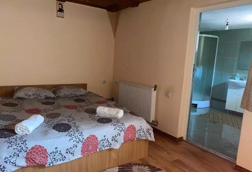 ペンション Casa Blendea Daniela