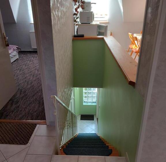 펜션 Gästehaus Neumann