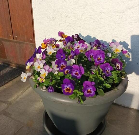 Place To Stay In Drøbak