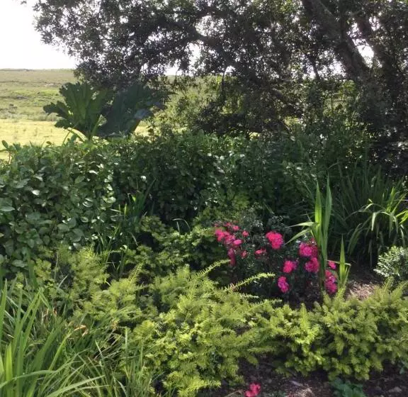 Tullybeggs B&b