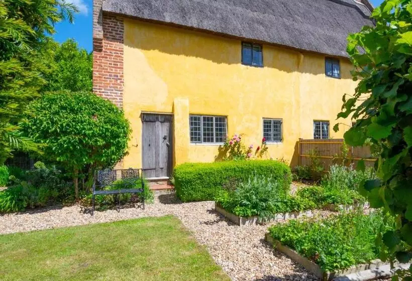 1 New Thatched Cottage