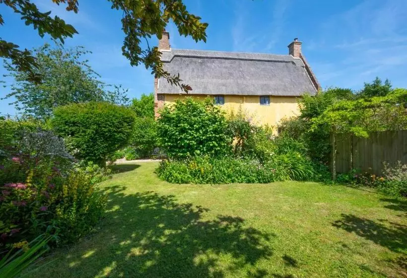 1 New Thatched Cottage
