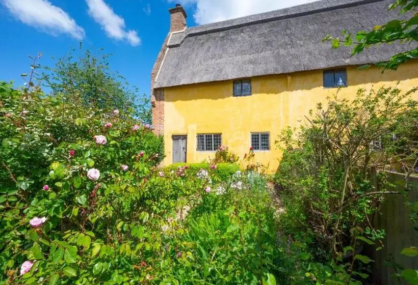 1 New Thatched Cottage
