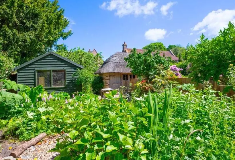 1 New Thatched Cottage