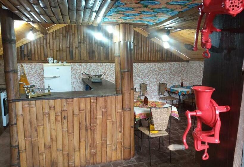 הוסטל Pousada Sobradinho 300m Do Centro Histórico