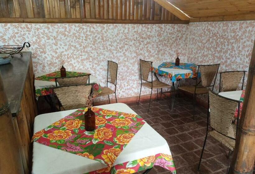 הוסטל Pousada Sobradinho 300m Do Centro Histórico