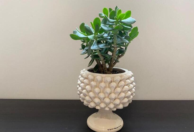 Apartment Alfonzetti 5 Min Walk To Central Train And Bus Station