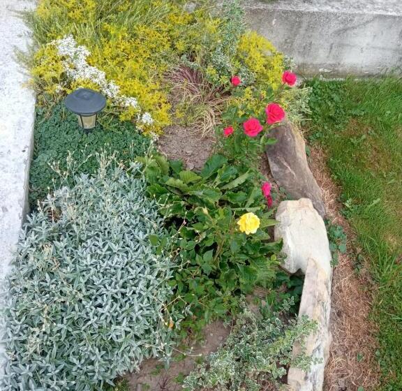 تختخواب و صبحانه Casa Luca