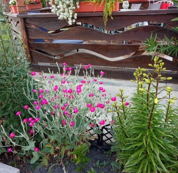 تختخواب و صبحانه Casa Luca