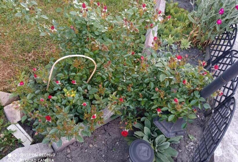 تختخواب و صبحانه Casa Luca