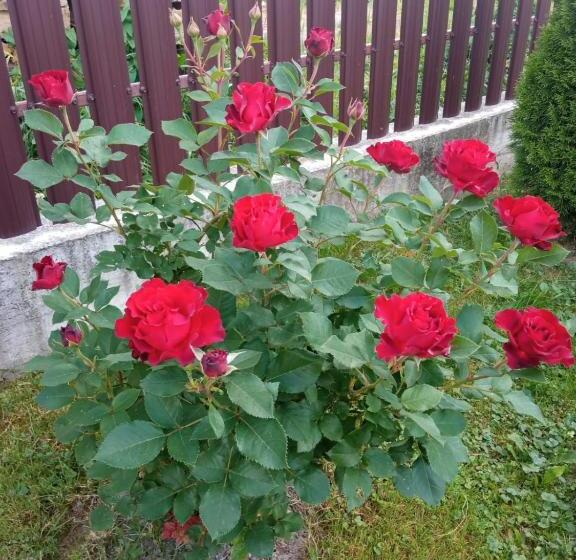 تختخواب و صبحانه Casa Luca