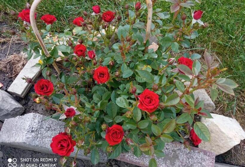 تختخواب و صبحانه Casa Luca