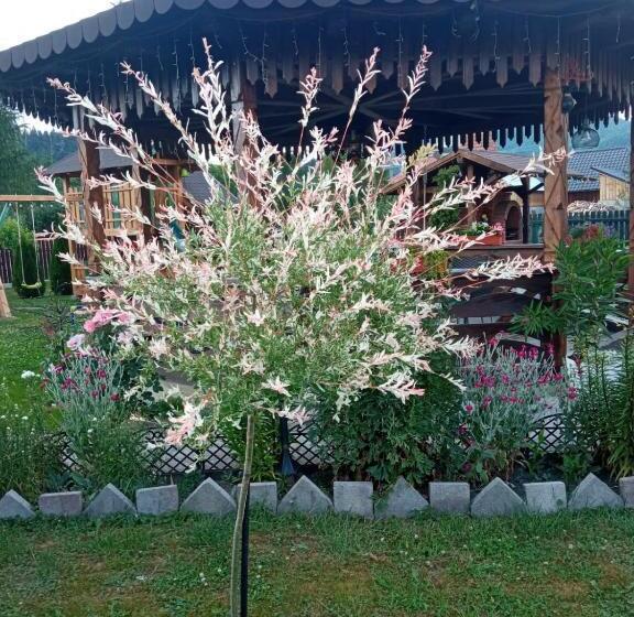 تختخواب و صبحانه Casa Luca