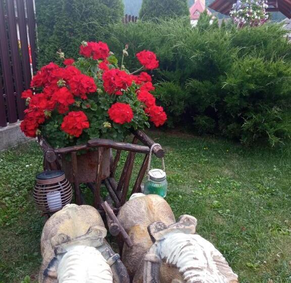 تختخواب و صبحانه Casa Luca