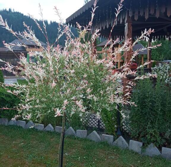 تختخواب و صبحانه Casa Luca